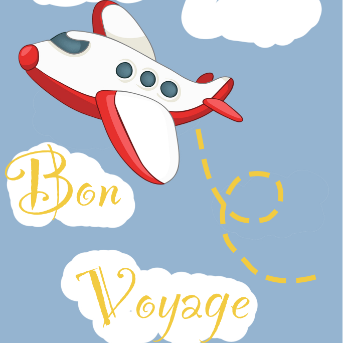 Bon Voyage Compression Socks (Knee-High)