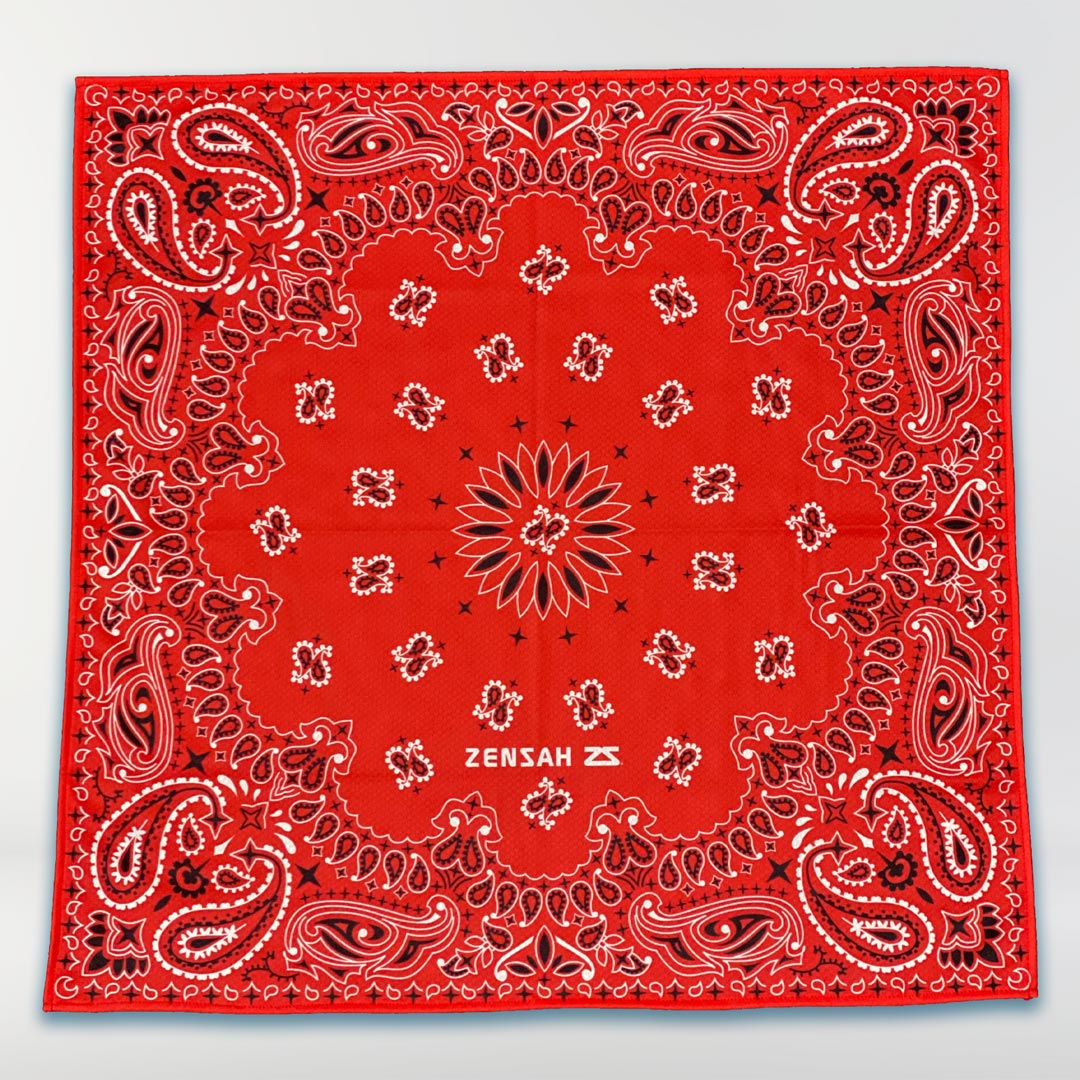 Performance BandanaAccesories - Zensah