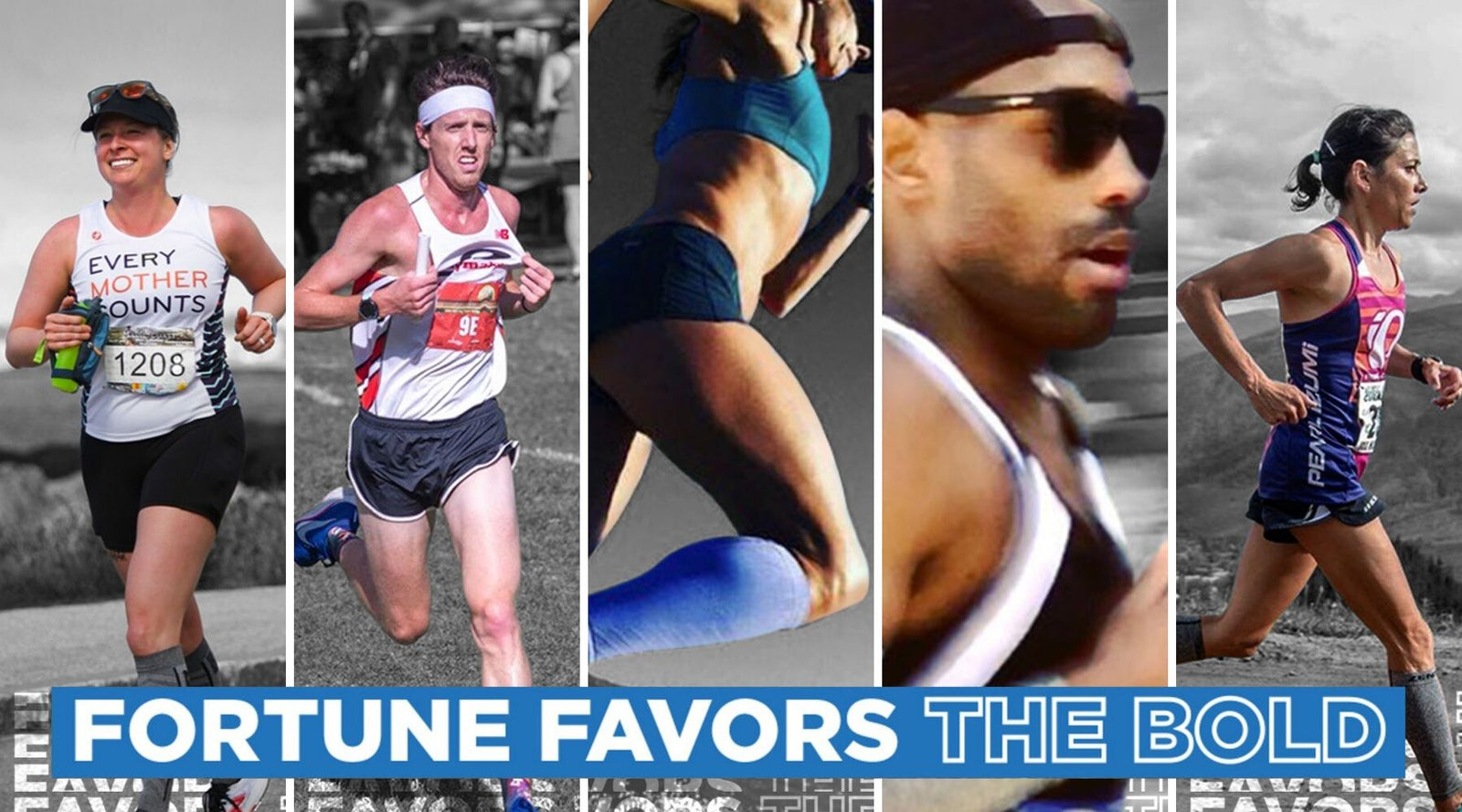 Fortune Favors The Bold Series