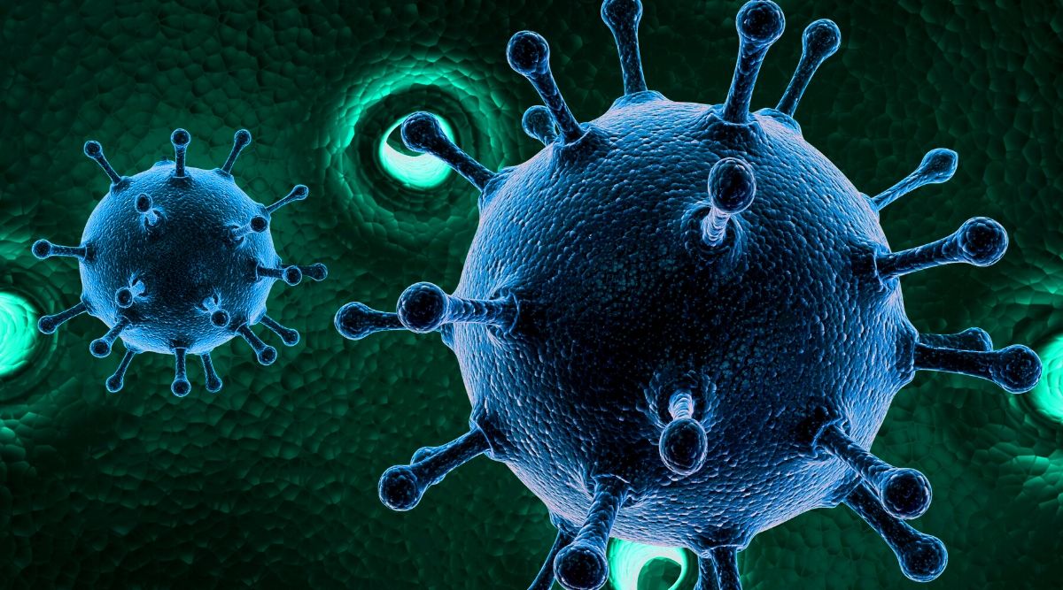 Exercise and the Immune System: How your daily run can keep you healthy