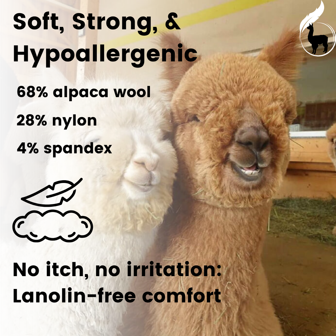 Alpaca Tab Running Socks (No Show)