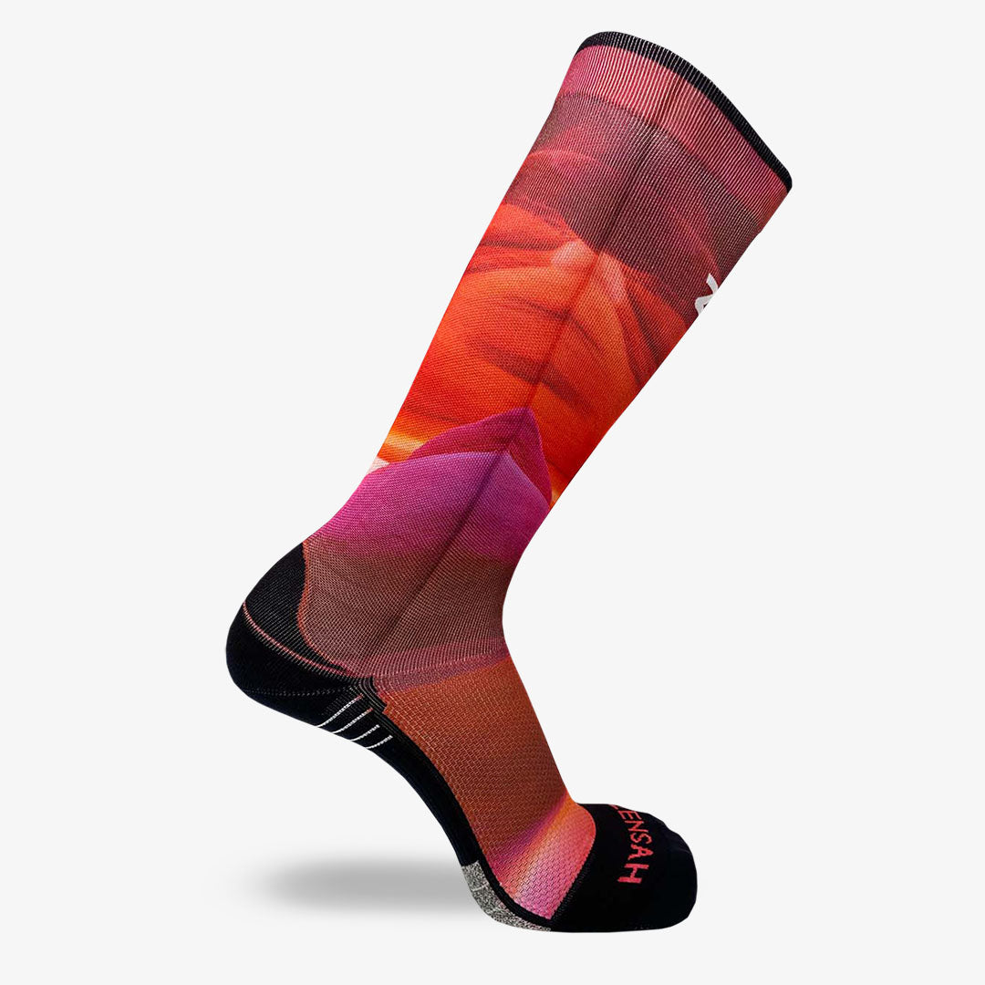 Nature Canyon Compression Socks (Knee-High)Socks - Zensah
