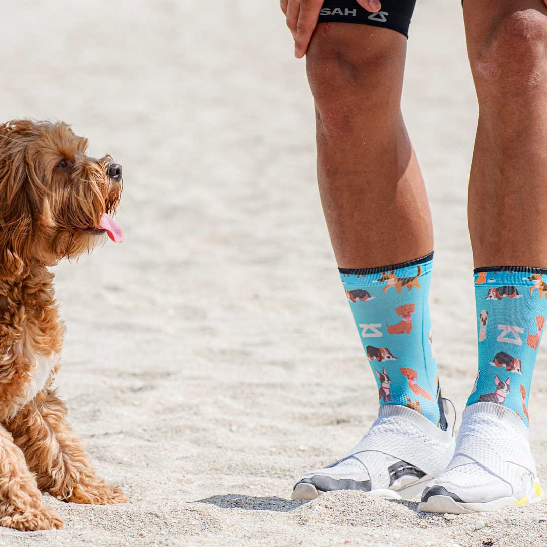 Dogs Socks (Mini-Crew)Socks - Zensah